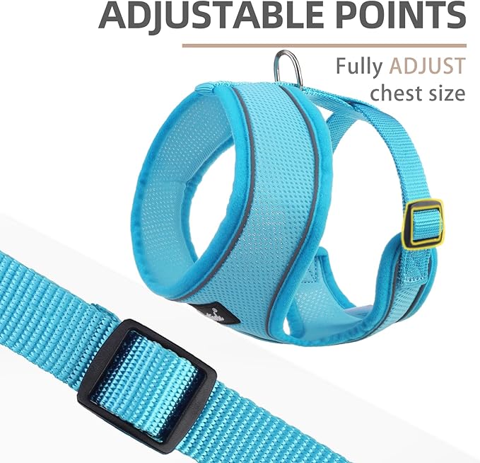 PUPTECK Soft Mesh Dog Harness and Leash Set Pet Puppy Cat Comfort Padded Vest No Pull Harnesses, Solid LightBlue, M PUPTECK