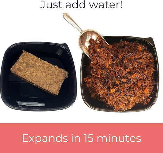 Snout and Shell Organic Invertebrate Coco Chip Bedding Substrate for Tarantulas, Spiders, Millipedes - Natural Habitat for Tunneling, Digging, & Enjoying - 500 Gm SNOUTANDSHELL