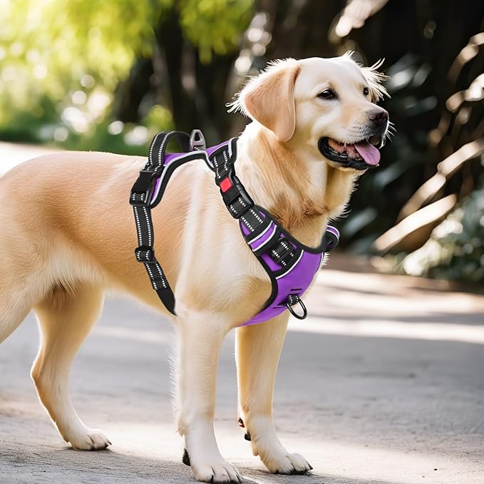 Timos Dog Harness Large Sized, No Pull Dog Harness with Neck Lockable Snap,No Choke Front Clip Dog Reflective Harness,Adjustable Metal Rings 3 Buckles,Easy Control Handle for Large Dogs Purple XL Timos