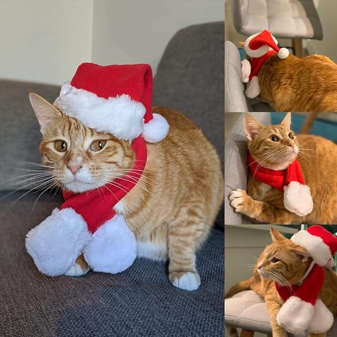 PETLESO Cat Santa Hat with Scarf, Christmas Hats for Cats Small Dog Santa Hat Christmas Costume for Cat Rabbit Puppy Doll Decoration, Red S - PAWPICO