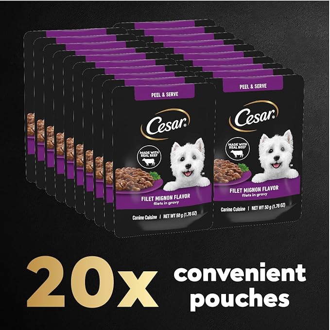 Cesar Filets in Gravy Wet Dog Food Filet Mignon Flavor, 1.76 oz. Mini-Pouch, 20 Pack - PAWPICO