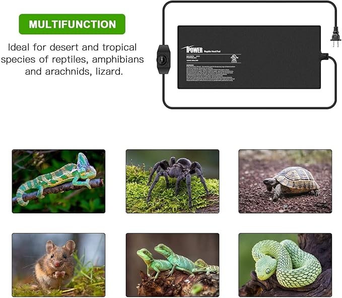 iPower 8 by 18 Inch Reptile Heating Pad with Temperature Adjustable Controller Knob, Under Tank Warmer Terrarium Heat Mat for Reptiles and Amphibians iPower