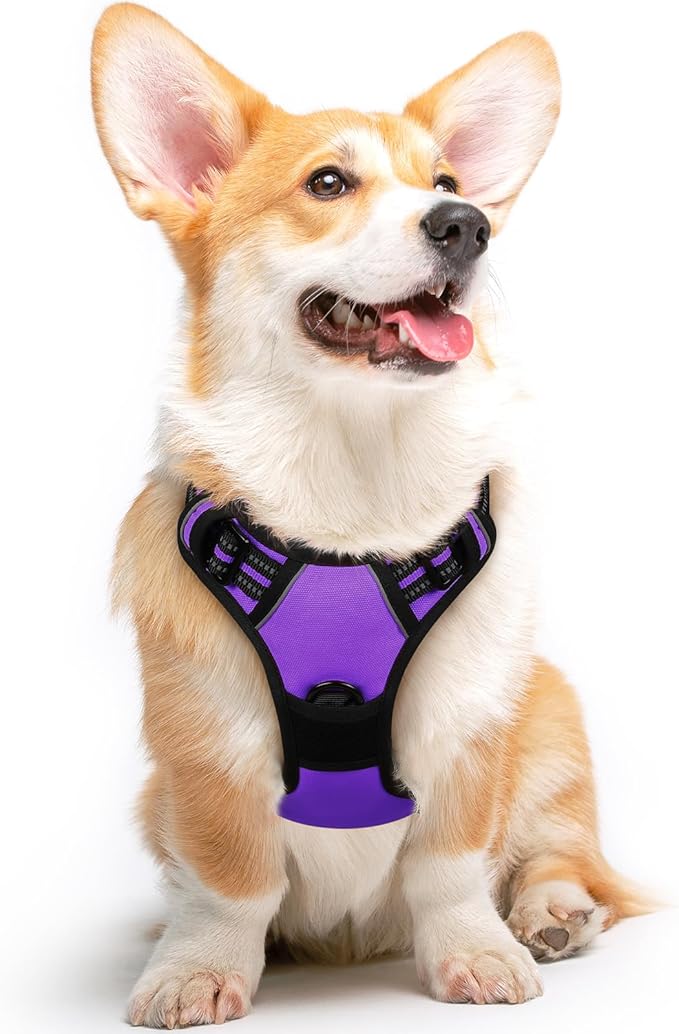 Eagloo Dog Harness Medium Sized Dog, No Pull Service Vest with Reflective Strips and Control Handle, Adjustable and Comfortable for Easy Walking, No Choke Pet Harness with 2 Metal Rings, Purple, M GoExplorewithEagloo