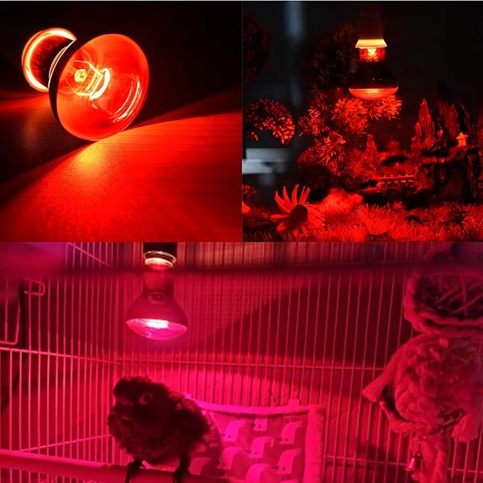 Aiicioo Reptile Red Night Light Bulb - 150W Reptile Heat Lamp Bulb Infrared Basking Spot Lamp for Bearded Dragon Lizard Turtle Hermit Crab Leopard Gecko Snake Chameleon Tank AIICIOO