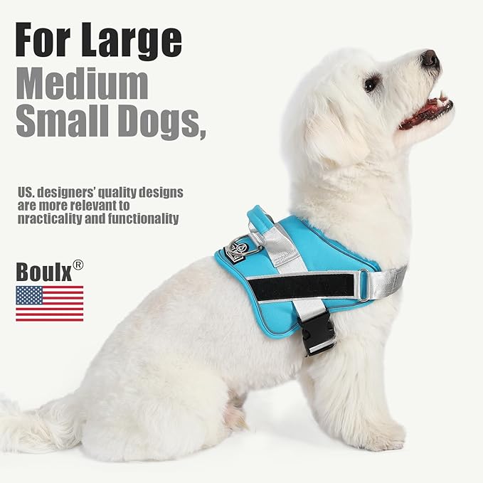 Bolux Dog Harness, No-Pull Reflective Dog Vest, Breathable Adjustable Pet Harness with Handle for Outdoor Walking - No More Pulling, Tugging or Choking (OceanicBlue, Medium (Pack of 1)) Bolux