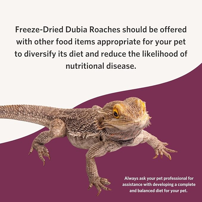 Fluker's Freeze Dried Dubia Roaches, Ideal for Lizards, Reptiles, Birds, Fish, Hedgehogs, 1.7 oz Flukers
