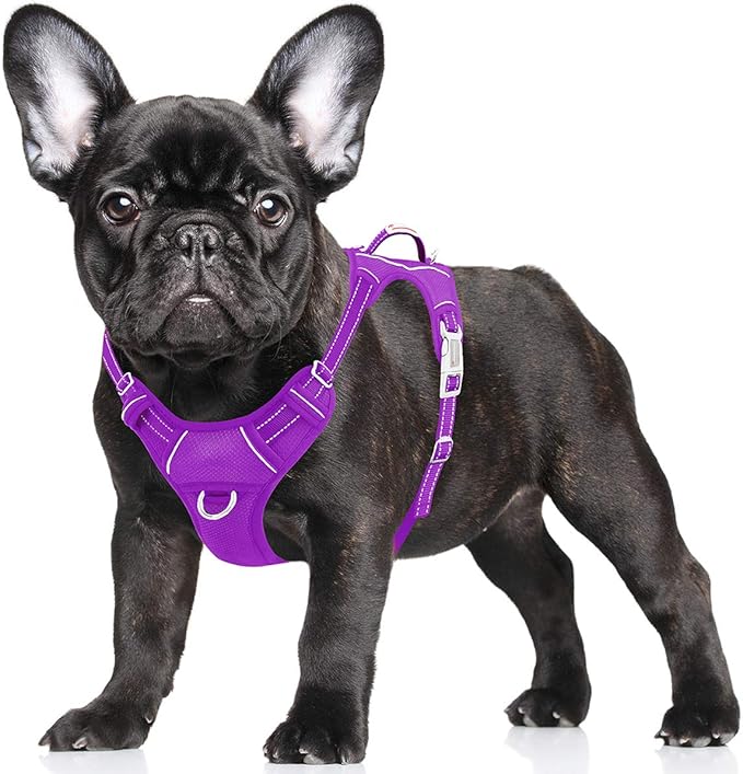 BARKBAY No Pull Dog Harness Large Reflective Dog Harness with Front Clip and Easy Control Handle for Walking Training Running with ID tag Pocket(Purple,S) BARKBAY