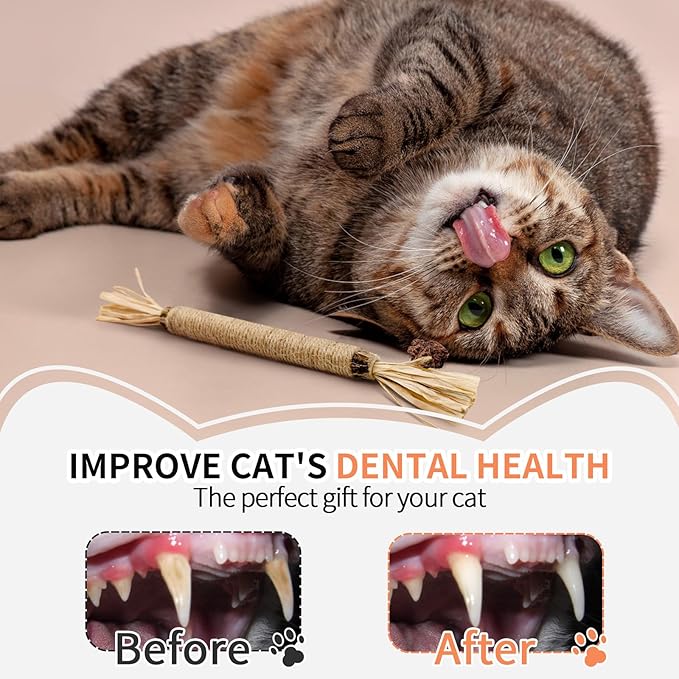 Cat Toys - 3PCS Silvervine Chew Sticks & 1PCS Silvervine Powder, Cat Dental Toys for Kitten Teeth Cleaning, 100% Natural Catnip Alternative for Chewing, Training & Playing - PAWPICO