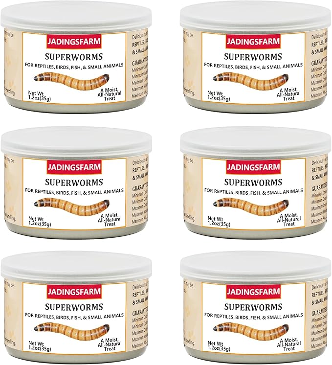 6 Pack Canned Superworms for Reptiles, Fish, Birds and Small Animals, Super Worms, Healthy High Protein Treat, Reptile Bird Fish Food 7.2 Ounces Total Jadingfarm