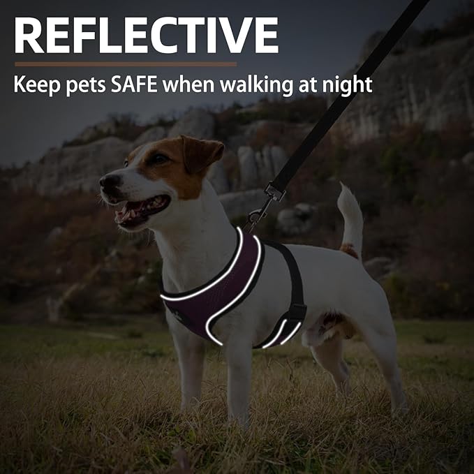 PUPTECK Soft Mesh Dog Harness and Leash Set Pet Puppy Cat Comfort Padded Vest No Pull Harnesses, Solid Purple, M PUPTECK