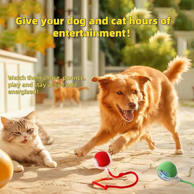Interactive Dog Cat Toys Ball, Electric Rolling Ball Dog Toy, Automatic Moving Bouncing Toy Ball with Lights, Dog Toys to Keep Them Busy, Peppy Pet Ball for Bored Indoor Cats & Dogs (Grey) - PAWPICO