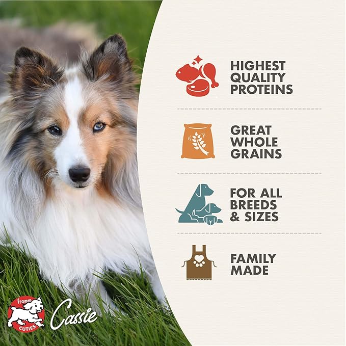 Fromm Adult Gold with Ancient Grains Dry Dog Food (15 lb) - PAWPICO