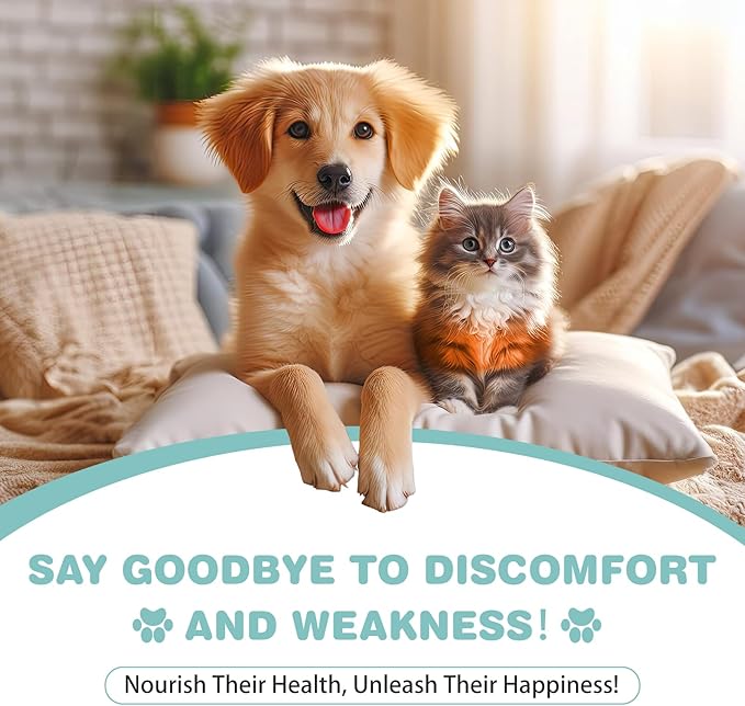 Seaweed Calcium for Dogs, Calcium for Dogs, Cats, Supports Joint, Teeth and Bone Health, High Digestibility Dog Calcium, Pure Clean Icelandic Calcium Powder for Dogs, Tested for Purity, 12 Oz DIYTOOLSMAN