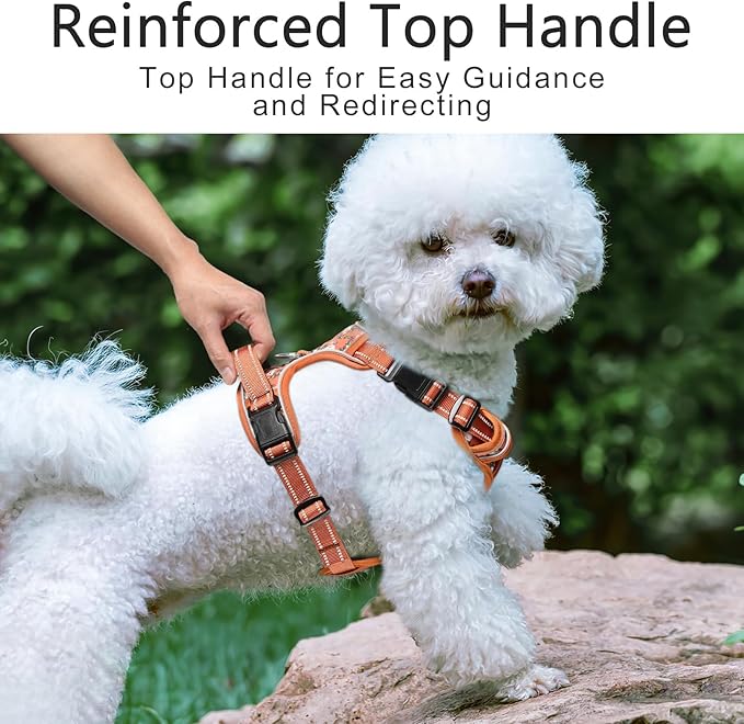 Timos Dog Harness, No Pull Dog Harness 3 Snap Buckles Adjustable Reflective No Choke Pet Vest for Small Dog with Soft Padded Control Training Handle for Outdoor Training,Flower Orange, XS Timos