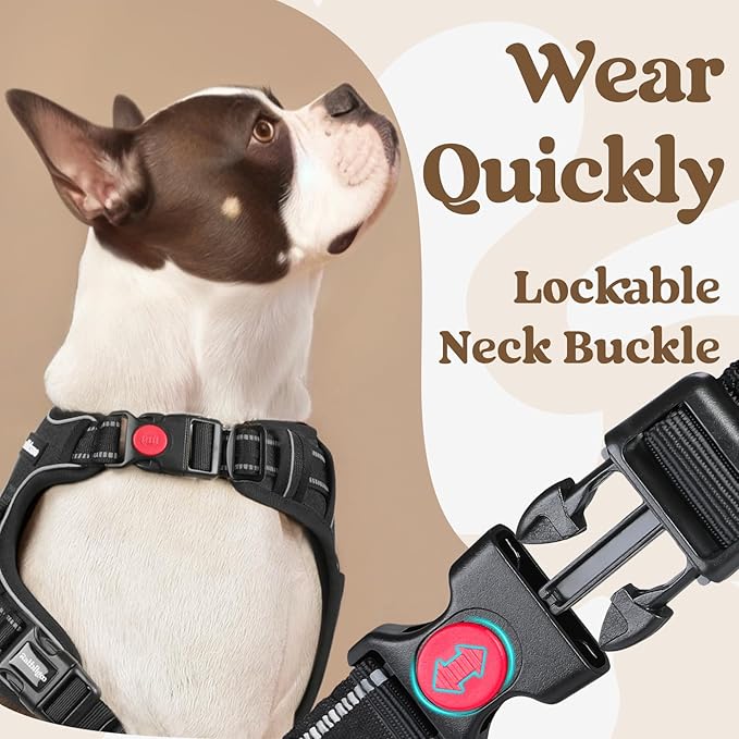 rabbitgoo Dog Harness Small Sized, No Pull Pet Harness with 3 Buckles, Adjustable Soft Padded Pooch Vest with Instant Control Handle, Easy Walking Reflective Pet Vest for Small Dogs, Black, S rabbitgoo