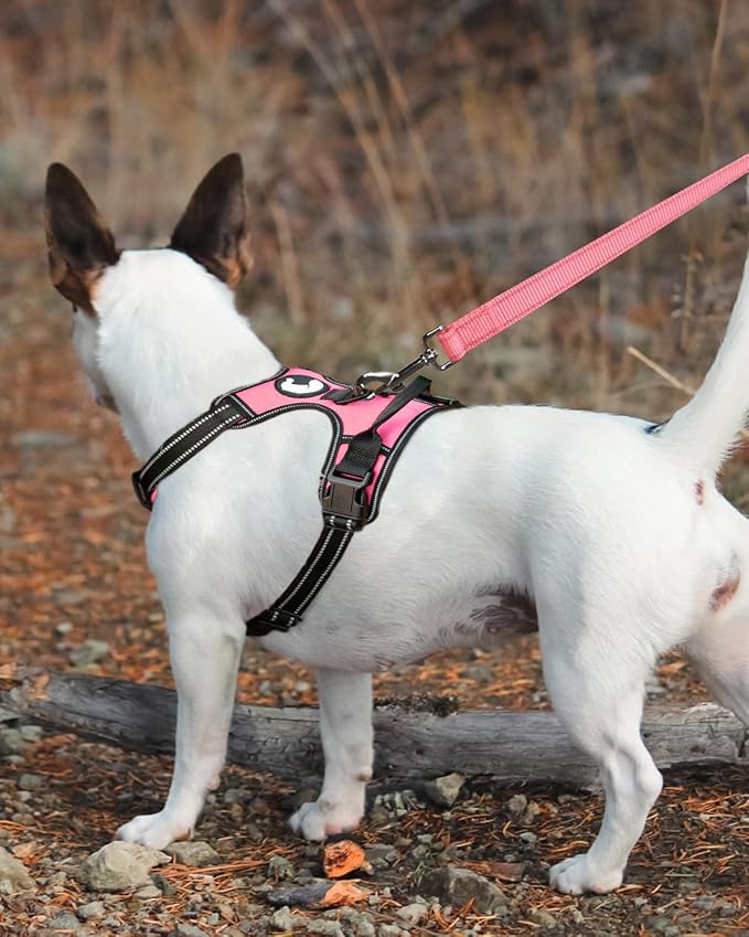 Joytale Double-Sided Reflective Dog Leash, 6 FT/5 FT/4 FT, Padded Handle Nylon Heavy Duty Leashes for Small & Medium Dogs Walking, Pink, 6FT Joytale