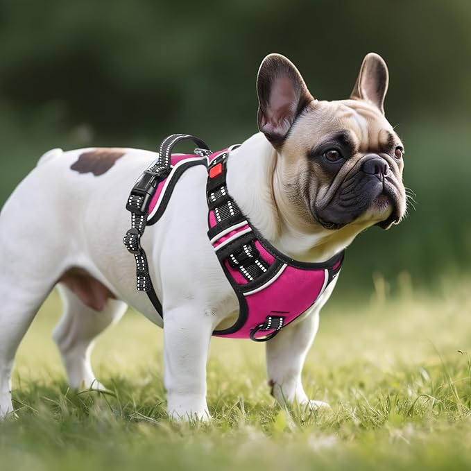 Timos No Pull Dog Harness, No Choke Front Lead Dog Reflective Harness, Adjustable Soft Padded Pet Vest with Easy Control Handle for Small Medium Large Dogs Timos
