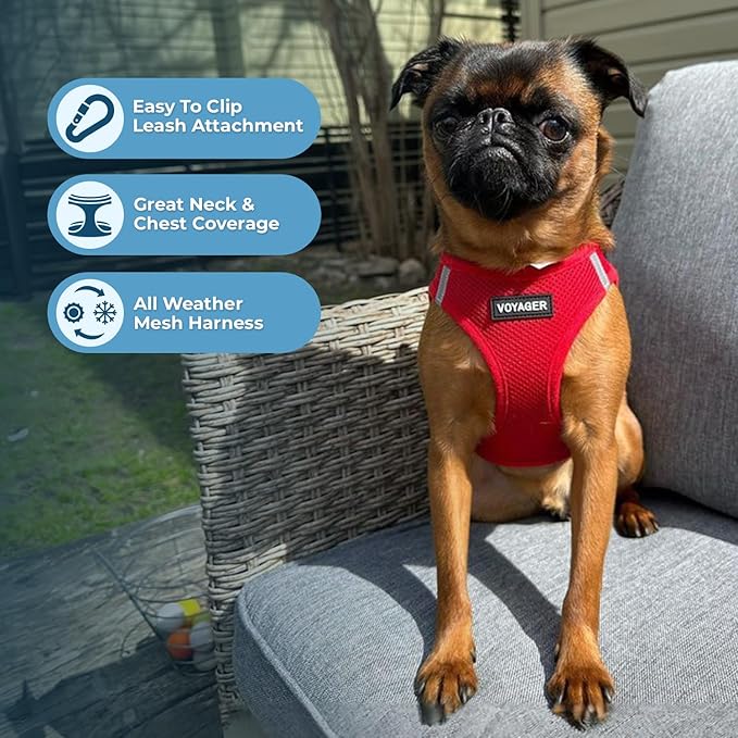 Voyager Step-In Air Dog Harness - All Weather Mesh, Reflective, No Pull Harness for Small, Medium Dogs, Cats - Secure with Hook & Loop Fastener, Buckle, Double D-Rings - Red, XXXS BestPetSuppliesLLC