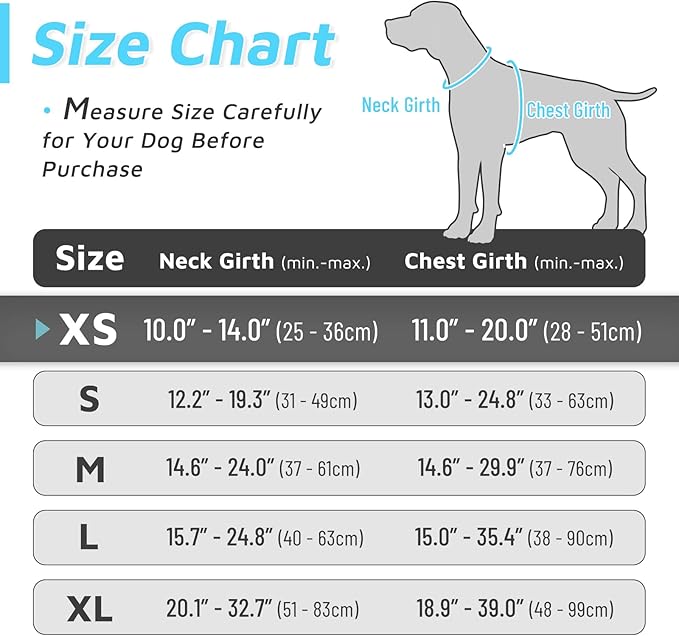 Eagloo Small Dog Harness No Pull, Service Vest with Reflective Strips and Control Handle, Adjustable and Comfortable for Easy Walking, No Choke Pet Harness with 2 Metal Rings, Sky Blue, XS GoExplorewithEagloo