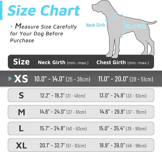 Eagloo Small Dog Harness No Pull, Service Vest with Reflective Strips and Control Handle, Adjustable and Comfortable for Easy Walking, No Choke Pet Harness with 2 Metal Rings, Sky Blue, XS GoExplorewithEagloo