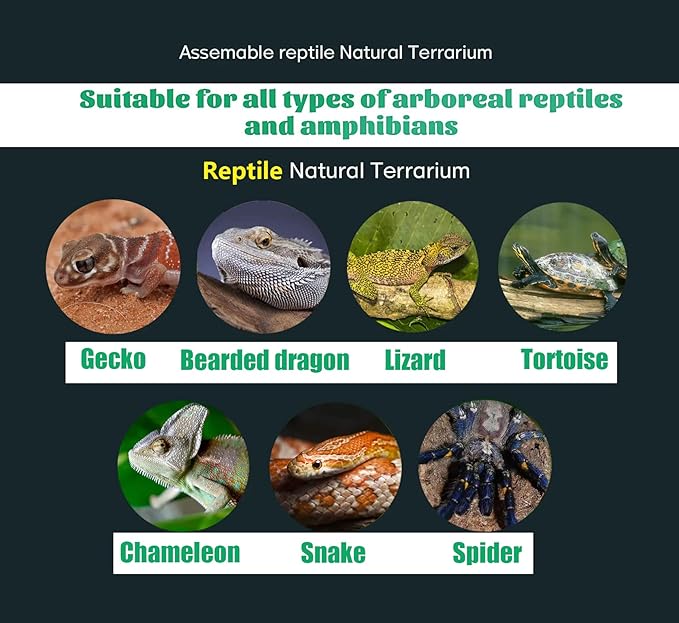 Woyrise Reptile Artificial Plants Terrarium Decor, Fake Desert Plants Bearded Dragon Tank Decorations Accessories fit Crested Gecko Leopard Lizard Chameleon Ball Python Snake Frog - Tillandsia Woyrise