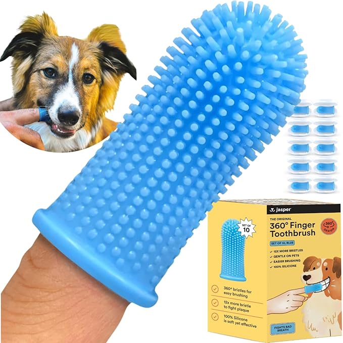 Jasper Dog Toothbrush, 360º Dog Tooth Brushing Kit, Cat Toothbrush, Dog Teeth Cleaning, Dog Finger Toothbrush, Dog Tooth Brush for Small & Large Pets, Dog Toothpaste Not Included, 10-Pack Blue JASPER%C2%AE