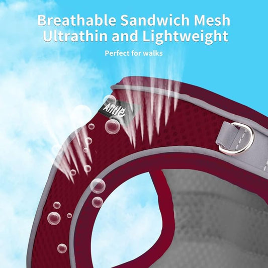 AIITLE Easy Walk Dog Harness and Leash Set - Pet Supply No Pull, Step in Adjustable Dog Harness with Padded Vest for Spring, Dog Harness No Choke Over, Easy to Put on Medium Dogs Burgundy L AIITLE-FORPETSBETTERLIFE