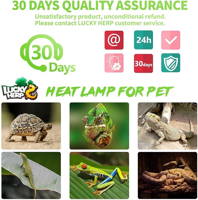 LUCKY HERP 4 Pack 100W Reptile Heat Lamp Bulb (2nd Gen), Amphibian Basking Light Bulb, Reptile Daylight Bulb for Turtle, Bearded Dragon, Lizard Heating Use LUCKYHERP