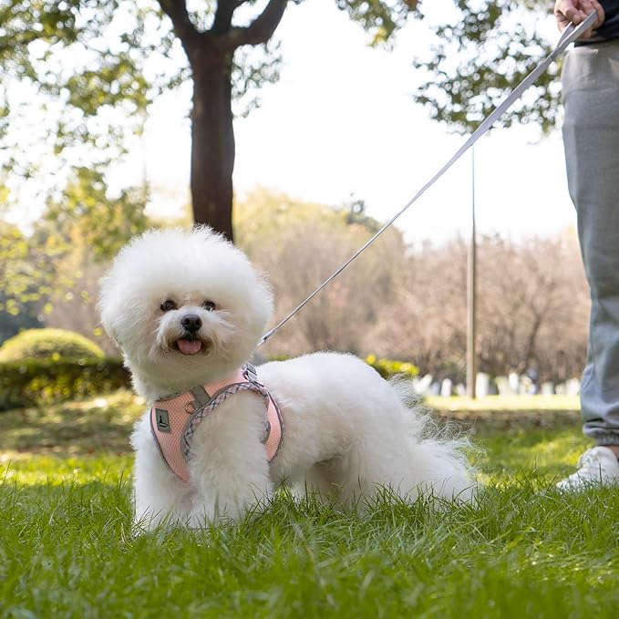 Dog Harness and Leash Set, No Pull Pet Harness for Small Dogs Easy Walking,Soft Breathable Small Dog Harness,Adjustable Reflective Step in Vest Harness for Puppy,Kitten, Cats TomteNisse