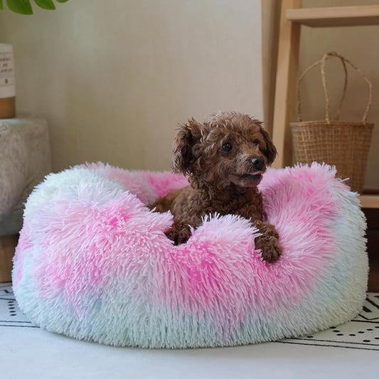 Rainbow Donut Dog Bed Small Washable,Calming Dog Bed for Small Dogs,20 inches Donut Fluffy Pet Beds,Anti Anxiety Round Fits up to 10 lbs Soft Warm Pets Beds for Puppy Dogs Indoor - PAWPICO