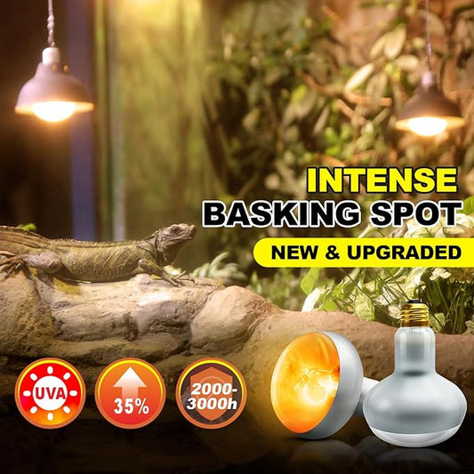 MIXJOY 100W Reptile Heat Lamp Bulb, 2Pack Reptile Basking Spot Light, Upgraded Intense Heat Basking Bulb, UVA Daylight Heat Lamp Bulbs for Reptiles, Bearded Dragon, Lizard, Tortoise, Chicken MIXJOY
