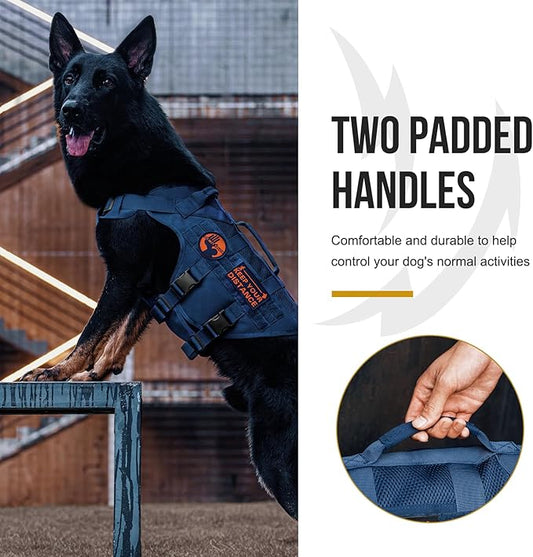 OneTigris No Pull Tactical Dog Harness for Small Medium Dog, Mesh Design Service Dog Vest Breathable Military Dog Molle Vests with Handles, Harness for Walking Hiking Training (Blue, M) OneTigris