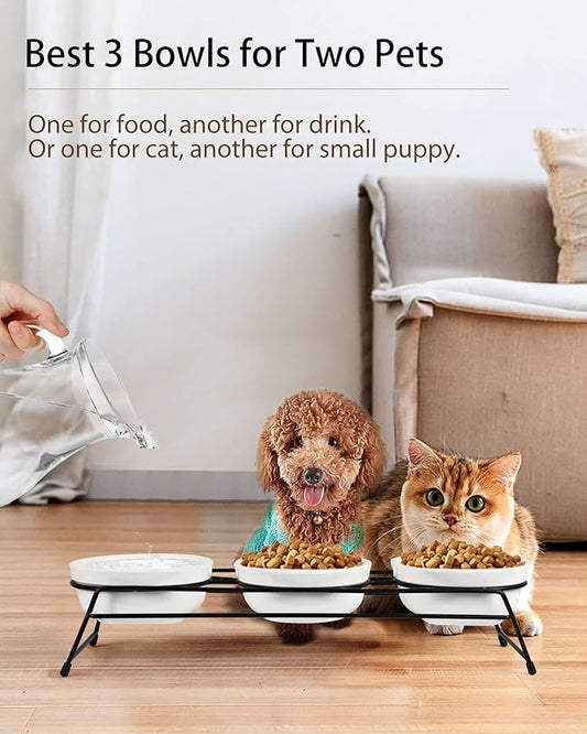 3 Cat Food Bowls Ceramic 13 oz Upgraded with Stainless Steel Stand Non-Slip and Anti-Rust Elevated Raised Cat Bowls for Food and Water, Pet Dishes Bowl for Indoor Cats and Puppy, Dishwasher Safe - PAWPICO