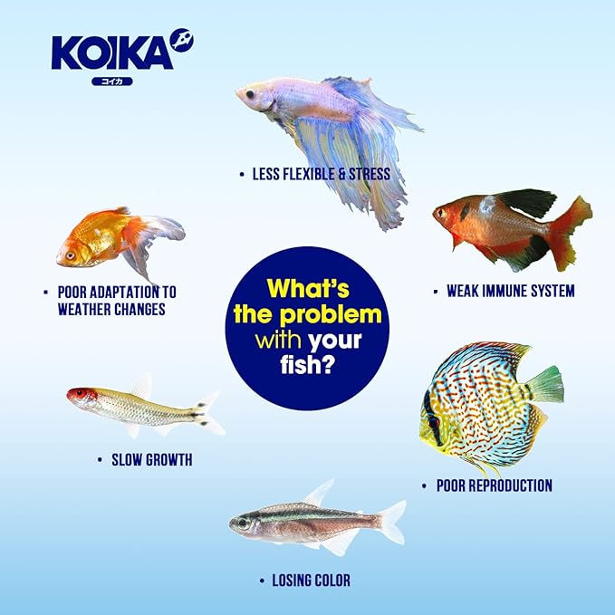KOIKA BACM Natural Color Enhancement for Fish, Combination of Probiotic & Multi-Vitamins for Aquarium A, B6, B2, Pleasant Smell (BACM, 105ml) Koika