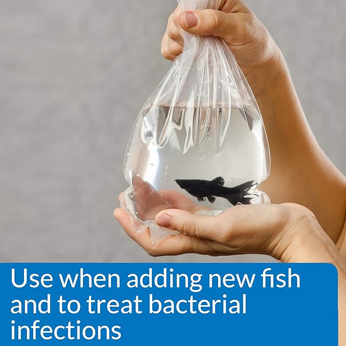 API MELAFIX Freshwater Fish Bacterial Infection Remedy 64-Ounce Bottle API
