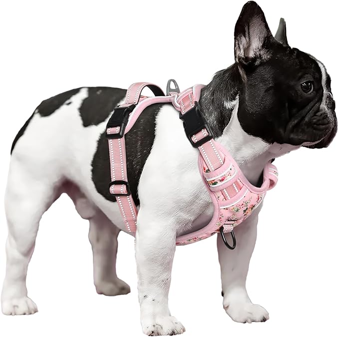 Timos Dog Harness, No-Pull Pet Harness with 2 Leash Clips, Adjustable Soft Padded Dog Vest, Reflective Outdoor Pet Oxford Vest with Easy Control Handle Timos