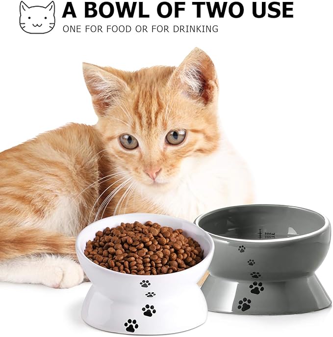 Y YHY Elevated Cat Food Bowl, Raised Pet Food and Water Bowl, Ceramic, 15oz - PAWPICO