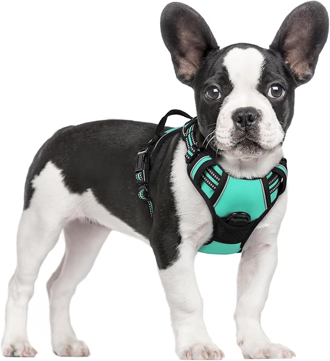 rabbitgoo Dog Harness No Pull with 2 Leash Clips, Adjustable Soft Padded, Reflective Oxford No Choke Pet Vest with Easy Control Handle for Small Dogs, Turquoise, S rabbitgoo