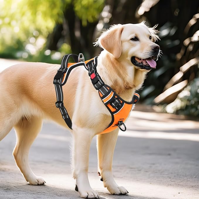 Timos Dog Harness Medium Sized, No Pull Dog Harness with Neck Lockable Snap,No Choke Front Clip Dog Reflective Harness,Adjustable Metal Rings 3 Buckles,Easy Control Handle for Medium Dogs Orange M Timos