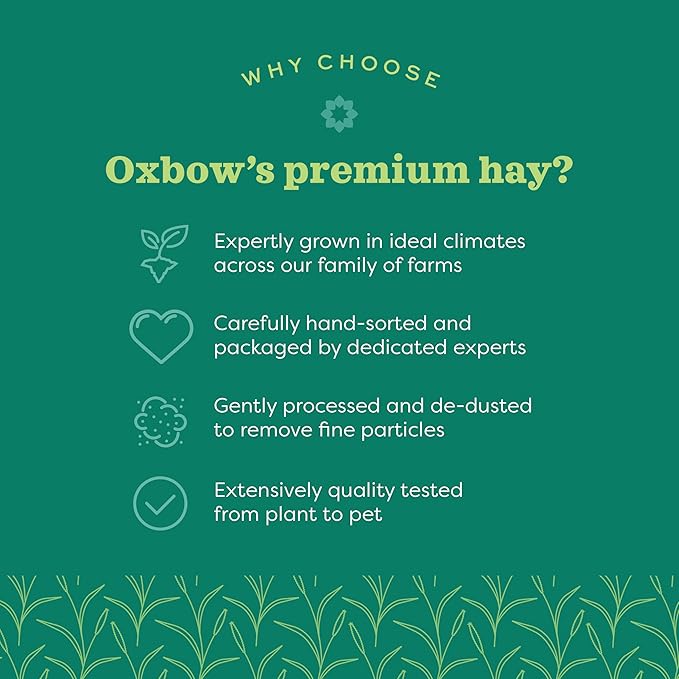 Oxbow Animal Health Western Timothy Hay - All Natural Hay for Rabbits, Guinea Pigs, Chinchillas, Hamsters & Gerbils - 40 Oz OxbowAnimalHealth