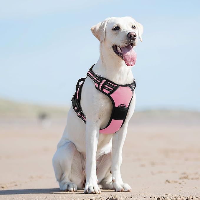 Eagloo Dog Harness for Large Dogs, No Pull Service Vest with Reflective Strips and Control Handle, Adjustable and Comfortable for Easy Walking, No Choke Pet Harness with 2 Metal Rings, Pink, L GoExplorewithEagloo