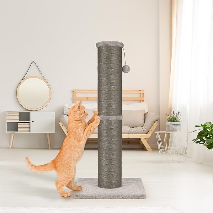 PAWSCRAT Cat Scratching Post 32 Inch High, 5.5 Inch Large Diameter Natural Sisal Cat Scratch Post, Scratch-Resistant and Durable Tall Cat Scratcher for Indoor Cats, Protect Your Furniture, Gery - PAWPICO