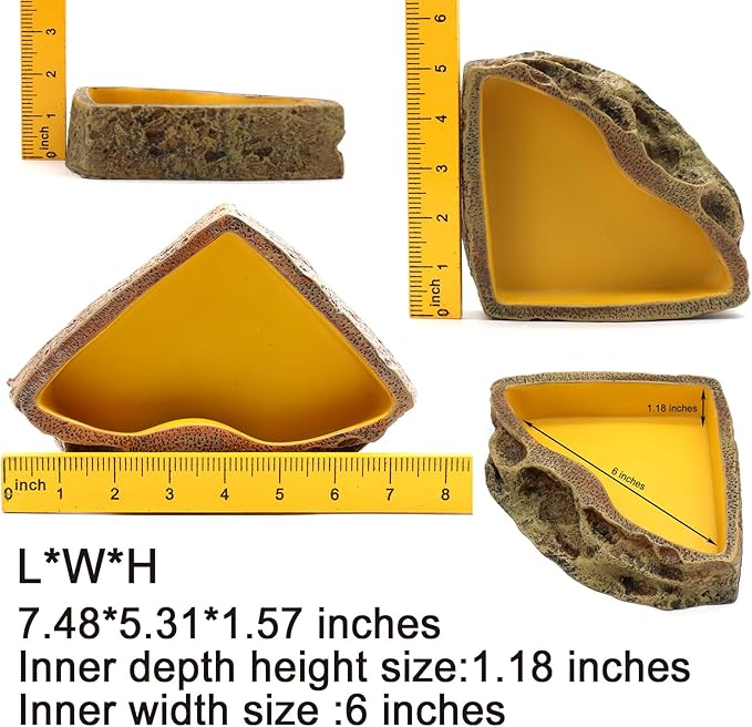 Reptile Feeder Resin Bowl Amphibian Reptile Bowl for Reptile Lizard Gecko Bearded Dragon Turtle relaqcc