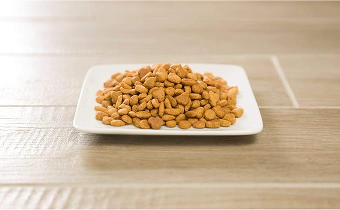 Purina Pro Plan Adult Hairball Control Cat Food Chicken and Rice Formula - 16 lb. Bag - PAWPICO