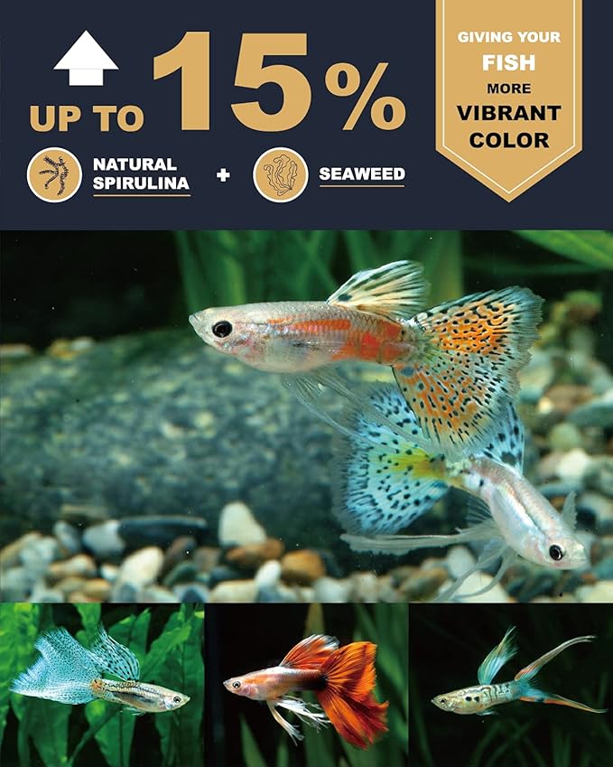 Ultra Fresh Royal Guppy Mignon Pellet, All Natural Guppy Food, Sword Prawns, Spirulina, Seaweeds, Highly Nutritious, for Cleaner Water and More Vibrant Color 4.6 oz UltraFresh-ShrimpDelight