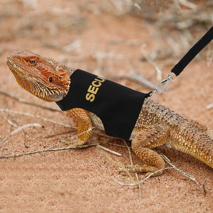 Hypeety Bearded Dragon Harness and Leash Set Adjustable Escape Proof Leash Outdoor Walking Training Leash and Harness for Bearded Dragon Lizard Reptiles Small Pets Black (Security) Hypeety