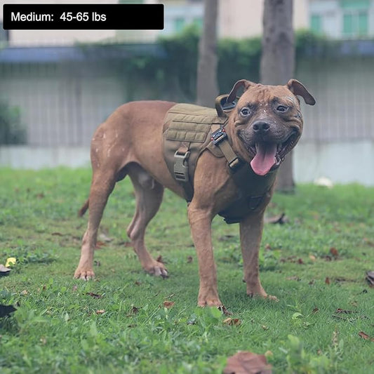 ICEFANG Tactical Dog Harness,Medium Size, 2X Metal Buckle,Working Dog MOLLE Vest with Handle,No Pulling Front Leash Clip,Hook and Loop Panel - PAWPICO