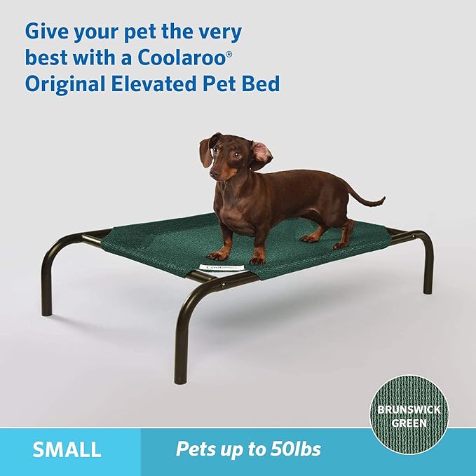 Coolaroo The Original Cooling Elevated Pet Bed,Brunswick Green, Small - PAWPICO