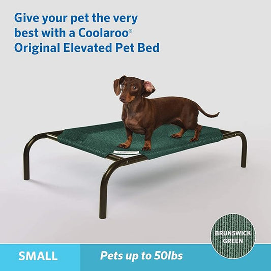 Coolaroo The Original Cooling Elevated Pet Bed,Brunswick Green, Small - PAWPICO