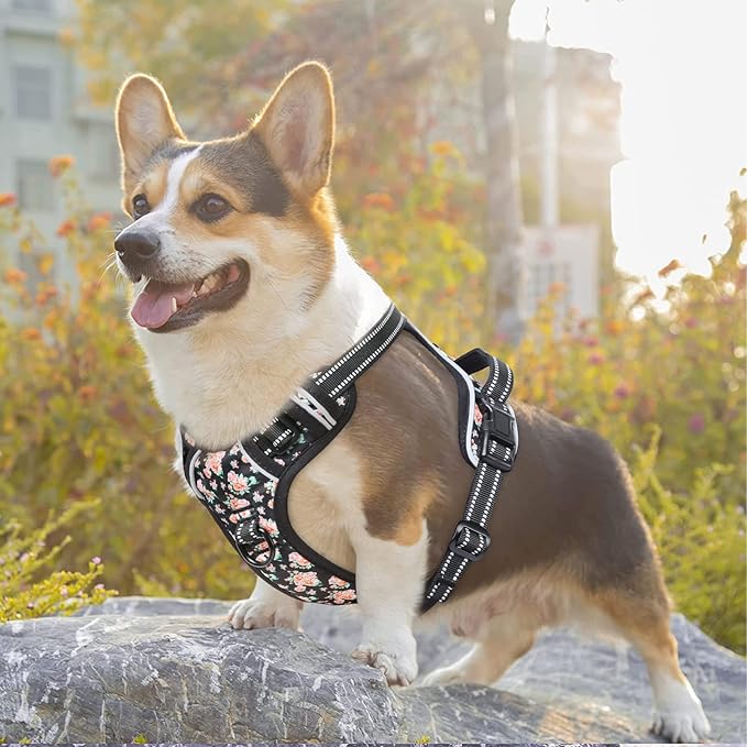 Timos Dog Harness, No-Pull Pet Harness with 2 Leash Clips, Adjustable Soft Padded Dog Vest, Reflective Outdoor Pet Oxford Vest with Easy Control Handle Timos